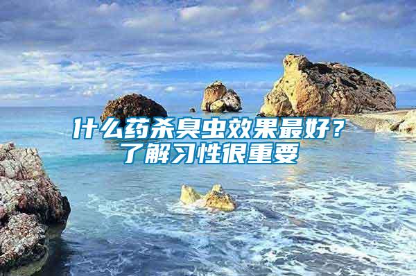什么藥殺臭蟲效果最好?了解習性很重要