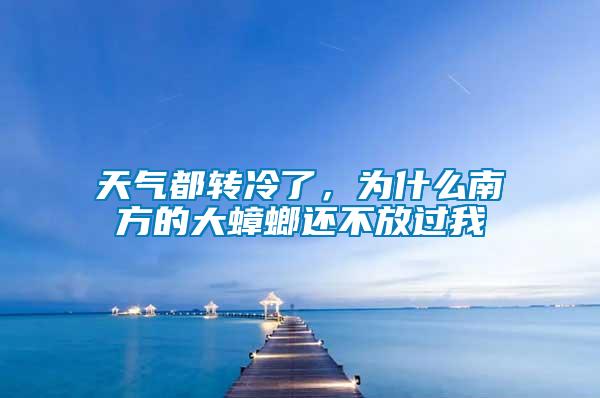 天氣都轉冷了,為什么南方的大蟑螂還不放過我