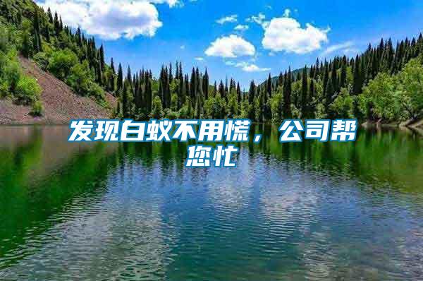 發現白蟻不用慌,公司幫您忙