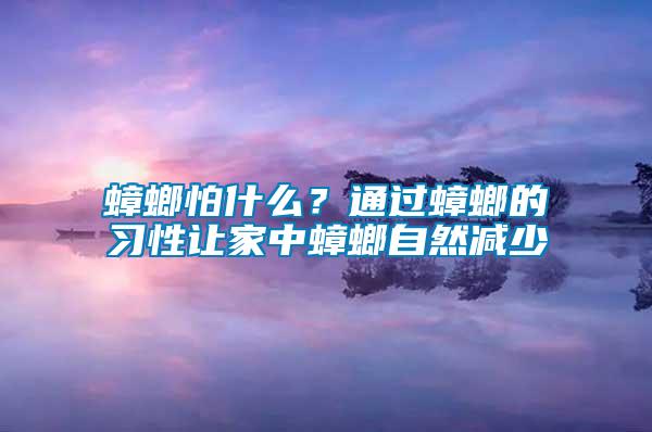 蟑螂怕什么?通過蟑螂的習(xí)性讓家中蟑螂自然減少