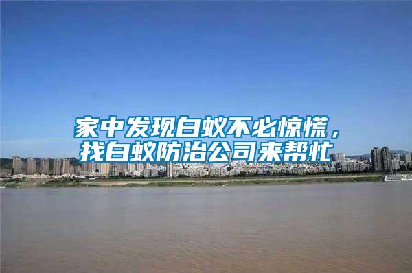 家中發(fā)現(xiàn)白蟻不必驚慌,找白蟻防治公司來幫忙