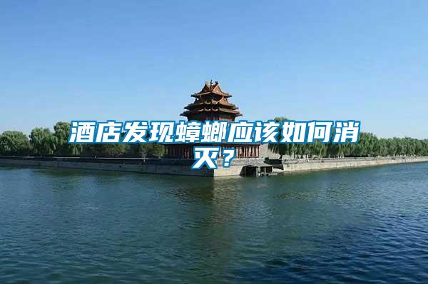 酒店發(fā)現(xiàn)蟑螂應(yīng)該如何消滅?