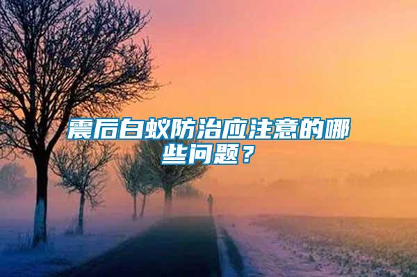 震后白蟻防治應注意的哪些問題?