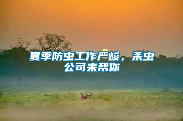 夏季防蟲工作嚴峻，殺蟲公司來幫你