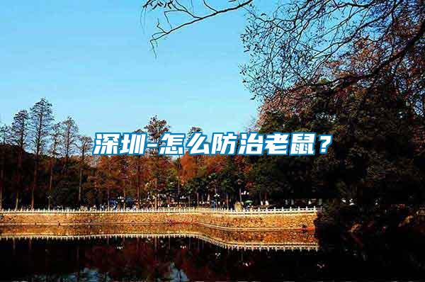 深圳-怎么防治老鼠?