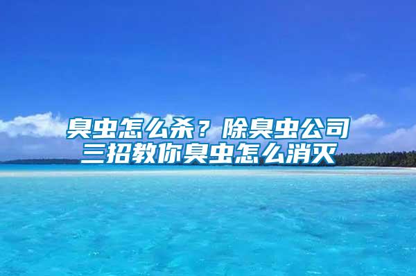 臭蟲怎么殺?除臭蟲公司三招教你臭蟲怎么消滅