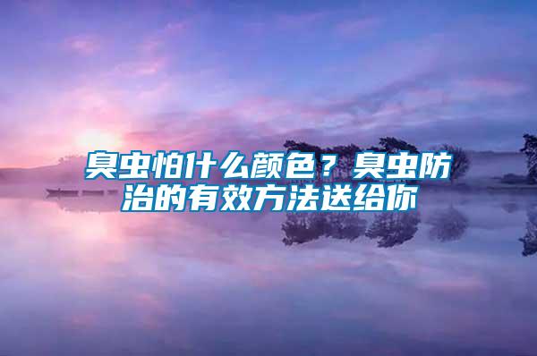 臭蟲怕什么顏色？臭蟲防治的有效方法送給你