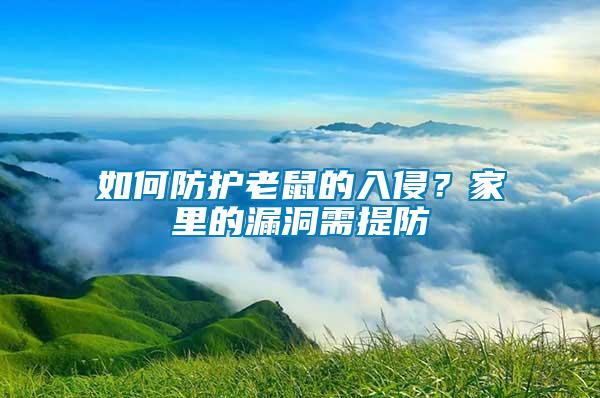 如何防護(hù)老鼠的入侵?家里的漏洞需提防