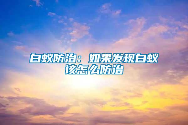 白蟻防治:如果發現白蟻該怎么防治
