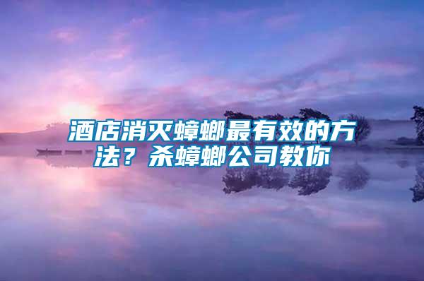 酒店消滅蟑螂最有效的方法?殺蟑螂公司教你