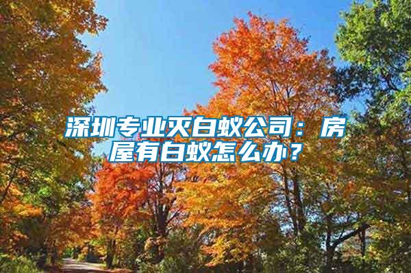 深圳專業(yè)滅白蟻公司:房屋有白蟻怎么辦?
