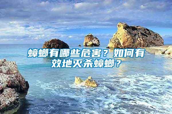 蟑螂有哪些危害?如何有效地滅殺蟑螂?