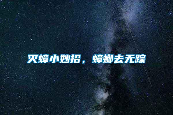 滅蟑小妙招,蟑螂去無(wú)蹤