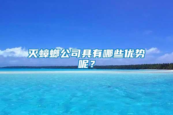 滅蟑螂公司具有哪些優勢呢?