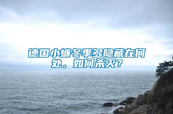 德國小蠊冬季多隱藏在何處，如何殺滅？