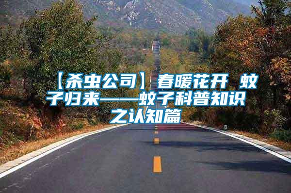 【殺蟲公司】春暖花開 蚊子歸來——蚊子科普知識(shí)之認(rèn)知篇