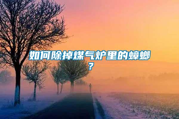 如何除掉煤氣爐里的蟑螂?