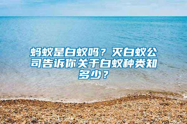 螞蟻是白蟻嗎?滅白蟻公司告訴你關(guān)于白蟻種類知多少?