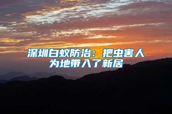深圳白蟻防治:把蟲害人為地帶入了新居