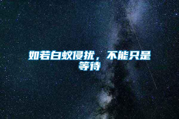 如若白蟻侵?jǐn)_,不能只是等待