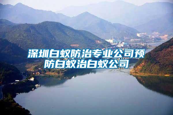 深圳白蟻防治專業(yè)公司預防白蟻治白蟻公司