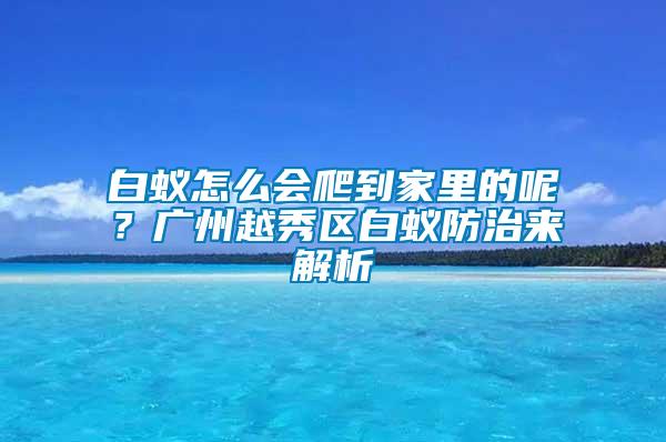 白蟻怎么會爬到家里的呢？廣州越秀區(qū)白蟻防治來解析