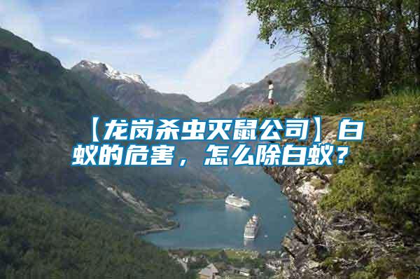 【龍崗殺蟲滅鼠公司】白蟻的危害,怎么除白蟻?