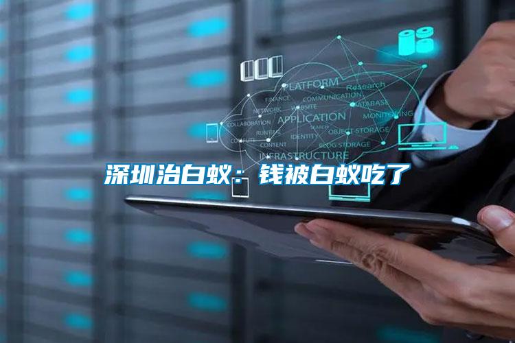 深圳治白蟻:錢被白蟻吃了