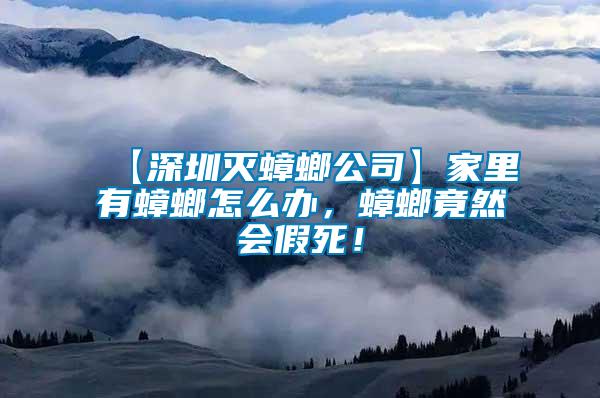 【深圳滅蟑螂公司】家里有蟑螂怎么辦，蟑螂竟然會假死！