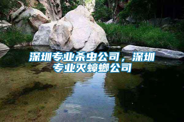 深圳專業殺蟲公司,深圳專業滅蟑螂公司