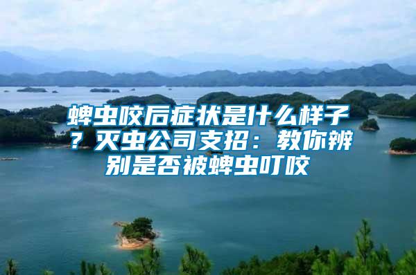 蜱蟲咬后癥狀是什么樣子？滅蟲公司支招：教你辨別是否被蜱蟲叮咬