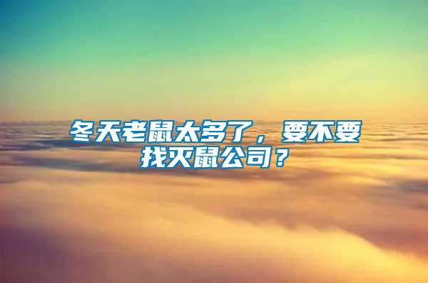 冬天老鼠太多了,要不要找滅鼠公司?