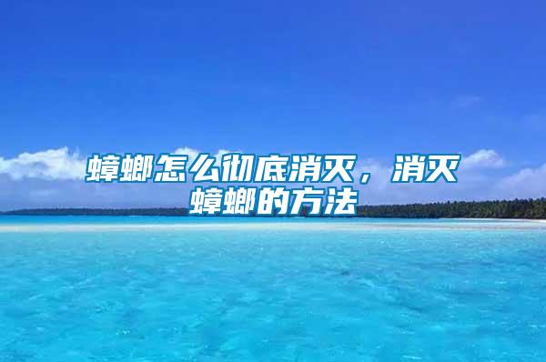 蟑螂怎么徹底消滅,消滅蟑螂的方法