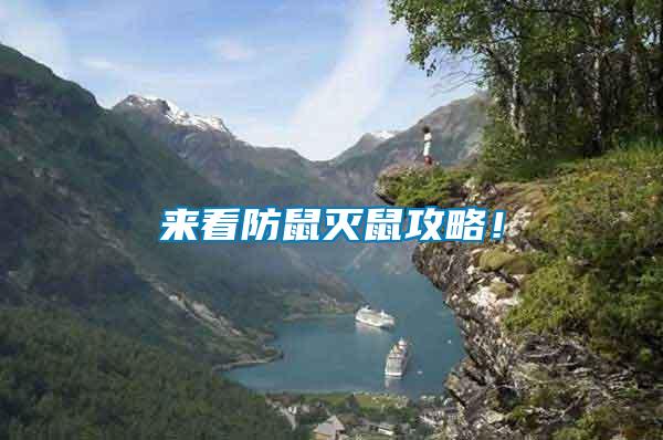 來看防鼠滅鼠攻略!