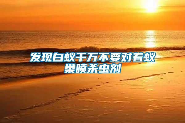 發(fā)現白蟻千萬不要對著蟻巢噴殺蟲劑