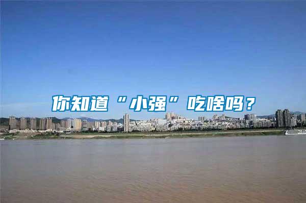 你知道“小強”吃啥嗎?