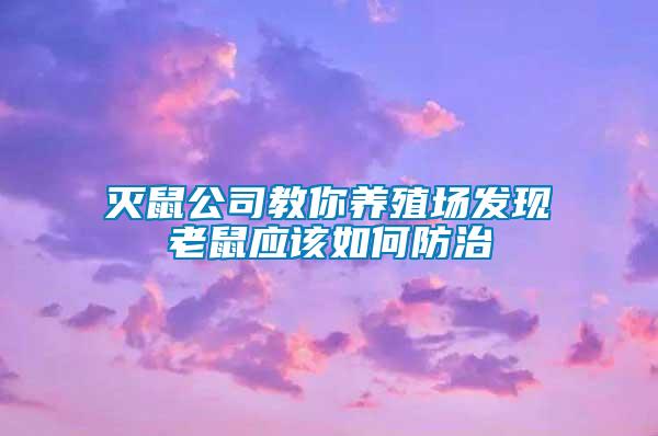 滅鼠公司教你養(yǎng)殖場發(fā)現(xiàn)老鼠應(yīng)該如何防治