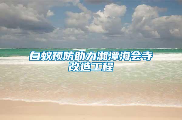 白蟻預防助力湘潭海會寺改造工程