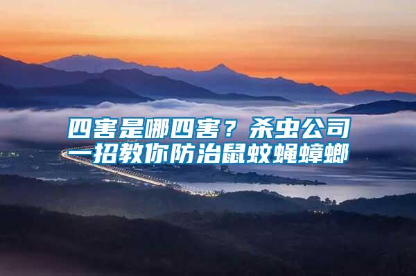 四害是哪四害?殺蟲公司一招教你防治鼠蚊蠅蟑螂