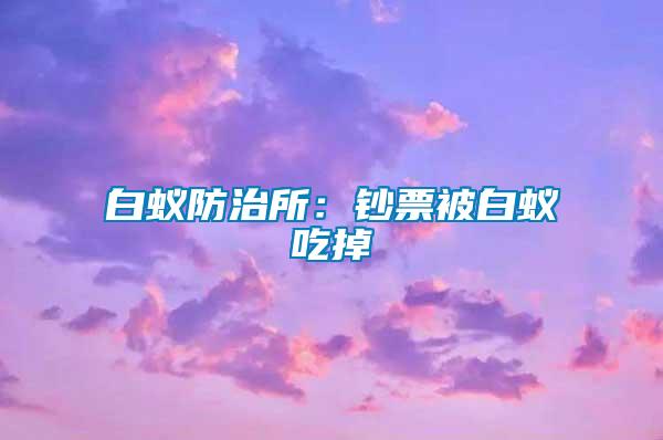 白蟻防治所:鈔票被白蟻吃掉