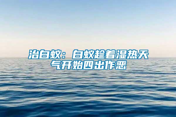治白蟻:白蟻趁著濕熱天氣開始四出作惡