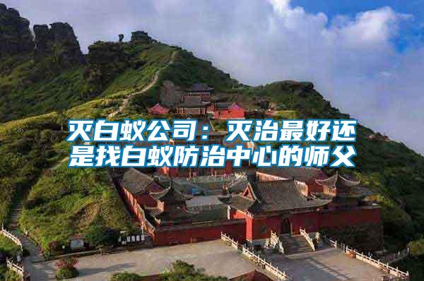 滅白蟻公司:滅治最好還是找白蟻防治中心的師父