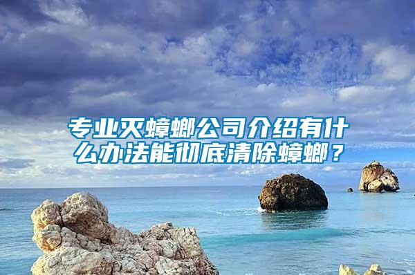 專業滅蟑螂公司介紹有什么辦法能徹底清除蟑螂?