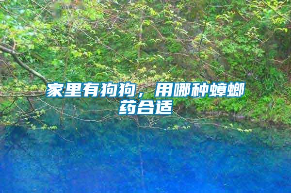 家里有狗狗,用哪種蟑螂藥合適