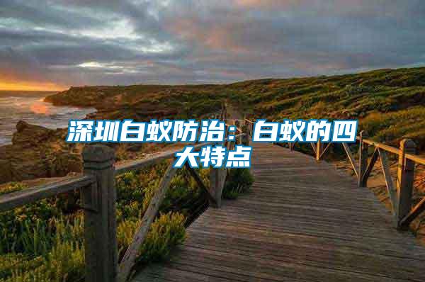 深圳白蟻防治:白蟻的四大特點(diǎn)