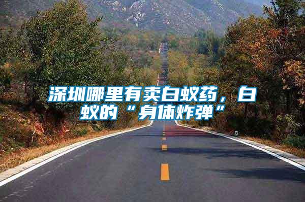 深圳哪里有賣白蟻藥，白蟻的“身體炸彈”