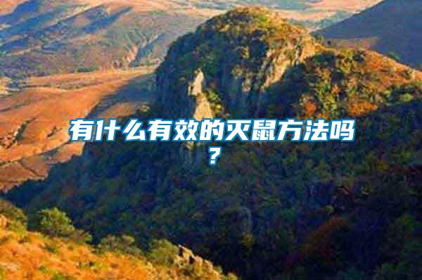 有什么有效的滅鼠方法嗎？