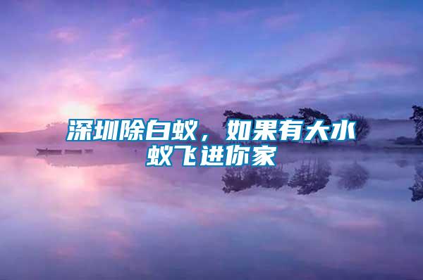 深圳除白蟻,如果有大水蟻飛進你家