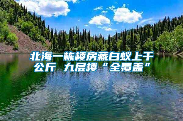 北海一棟樓房藏白蟻上千公斤 九層樓“全覆蓋”