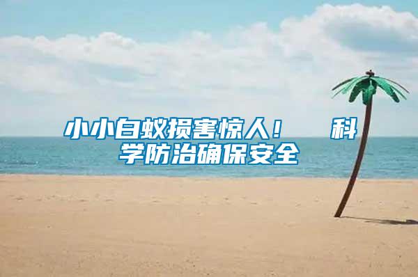 小小白蟻損害驚人! 科學(xué)防治確保安全